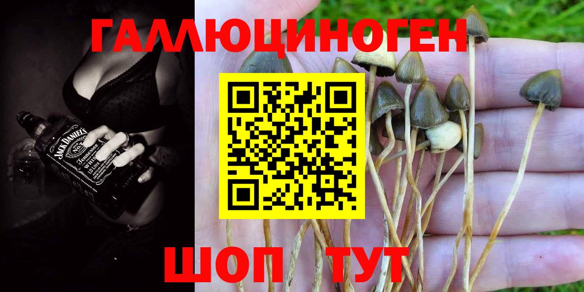 Псилоцибиновые грибы мицелий  Галлюциногенные грибы прущие грибы  Гусиноозёрск  как найти закладки  Вход с VPN 